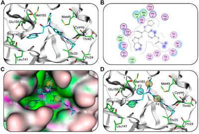 Identification of highly effective inhibitors against SARS-CoV-2 main protease: From virtual screening to in vitro study